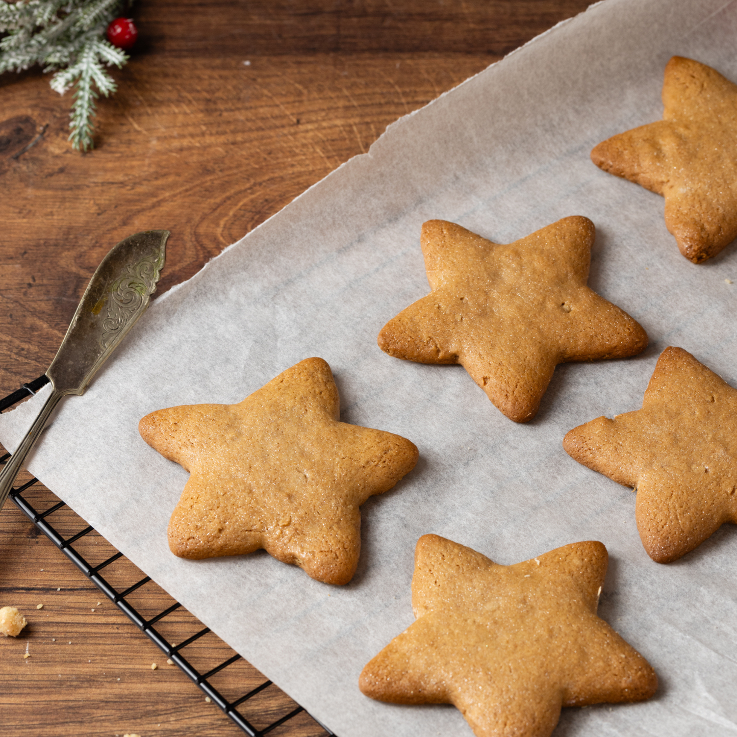 Gingerbread Stars